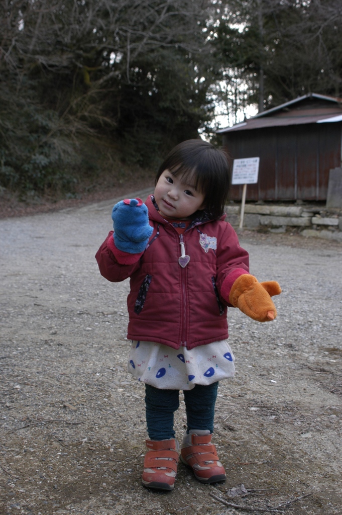 歩かない山ガール