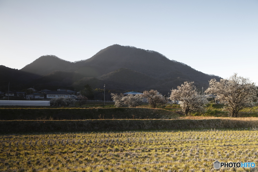 二上山