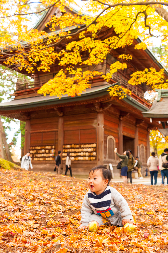 紅葉の比叡山延暦寺