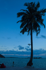 ビンタン島の夕暮れ