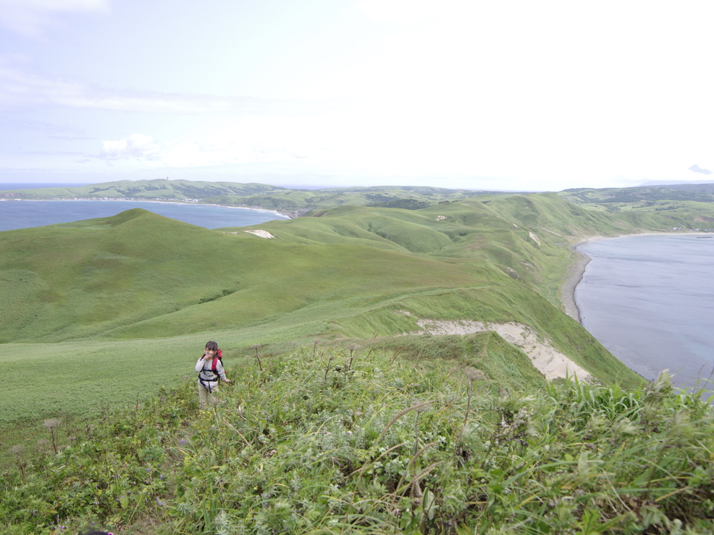 礼文島のハイキング