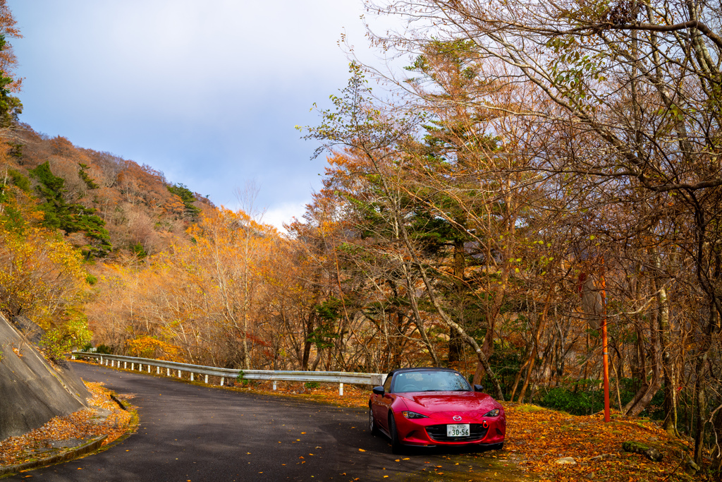 紅葉のドライブ