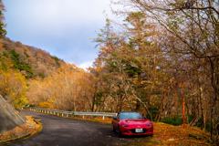 紅葉のドライブ
