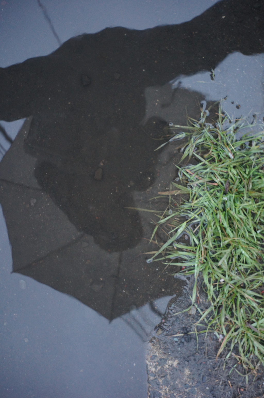 水溜