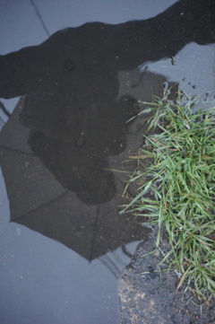 水溜