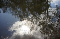 水鏡