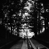 降道
