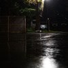 雨街頭
