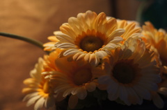 造花
