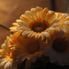 造花