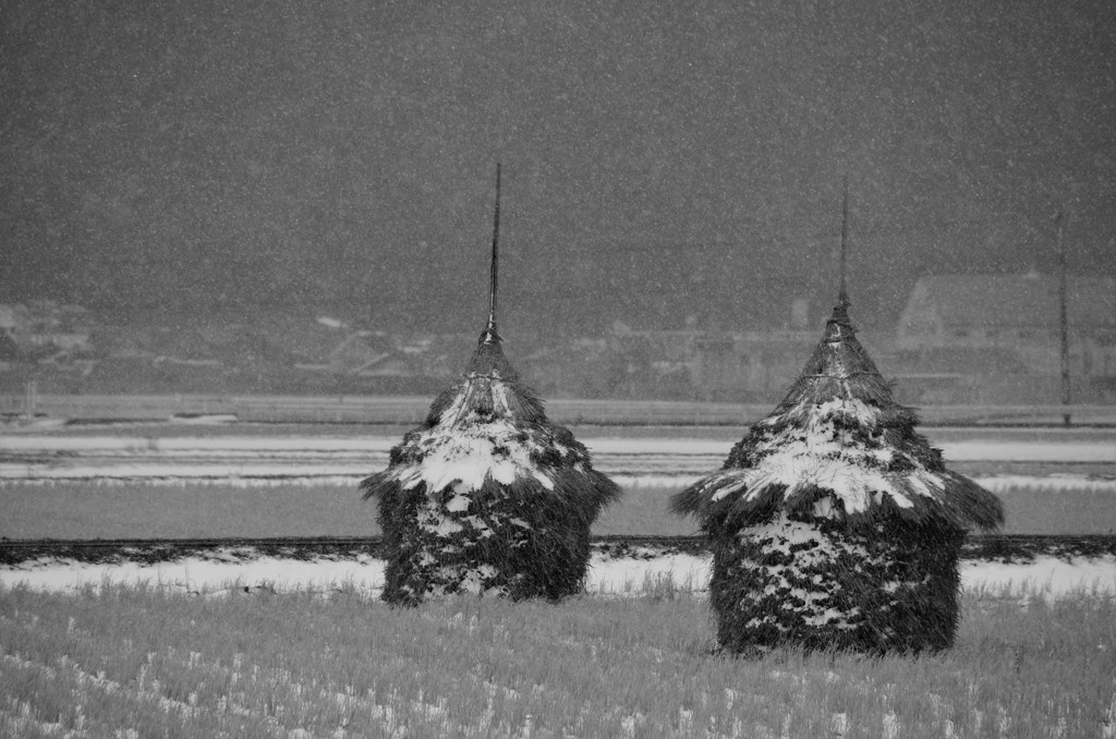 “わらぐろ”のある風景