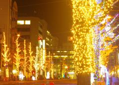 イルミナーレ花園２０１５