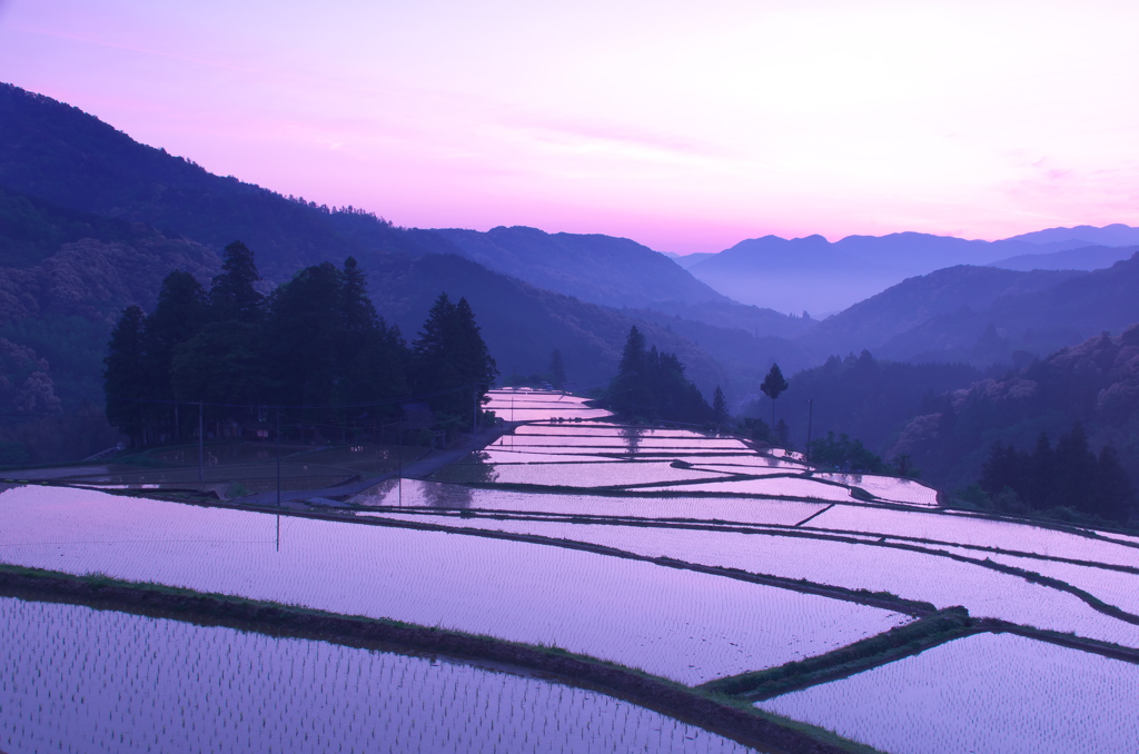 田園の朝