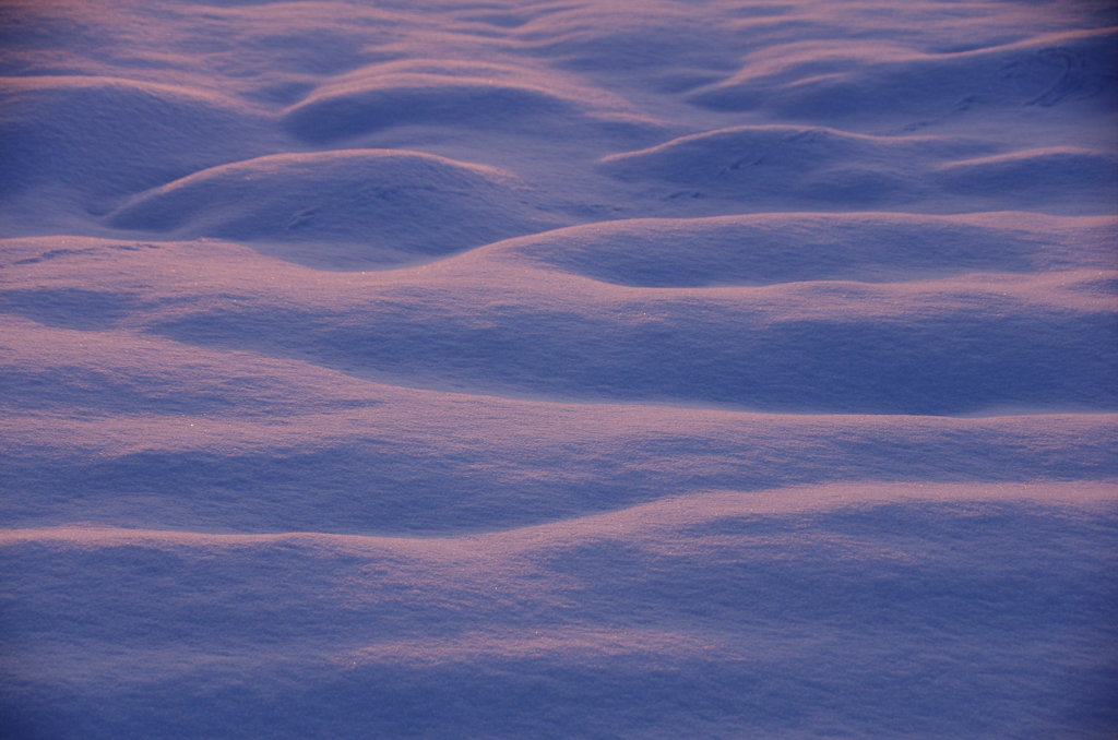 色付く雪面①