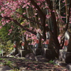 心の風景