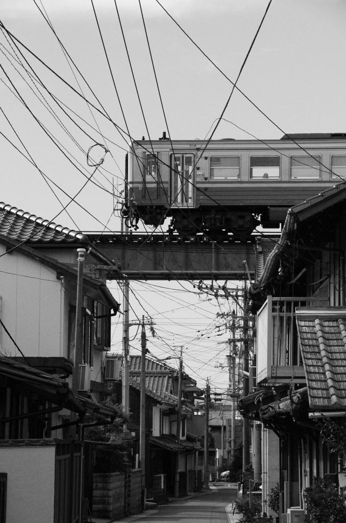 屋根の上を今日も往く