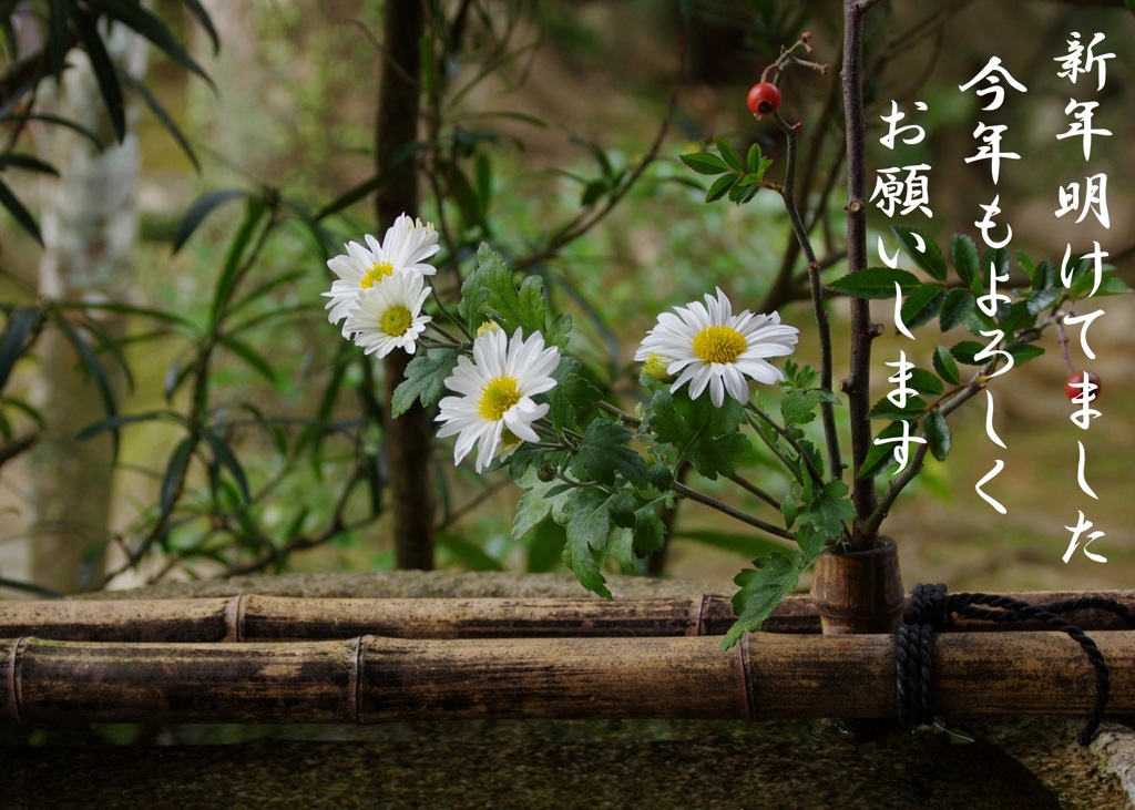 明けましておめでとうございました
