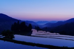 夜明けを待つ棚田の朝