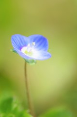 淡々の時間