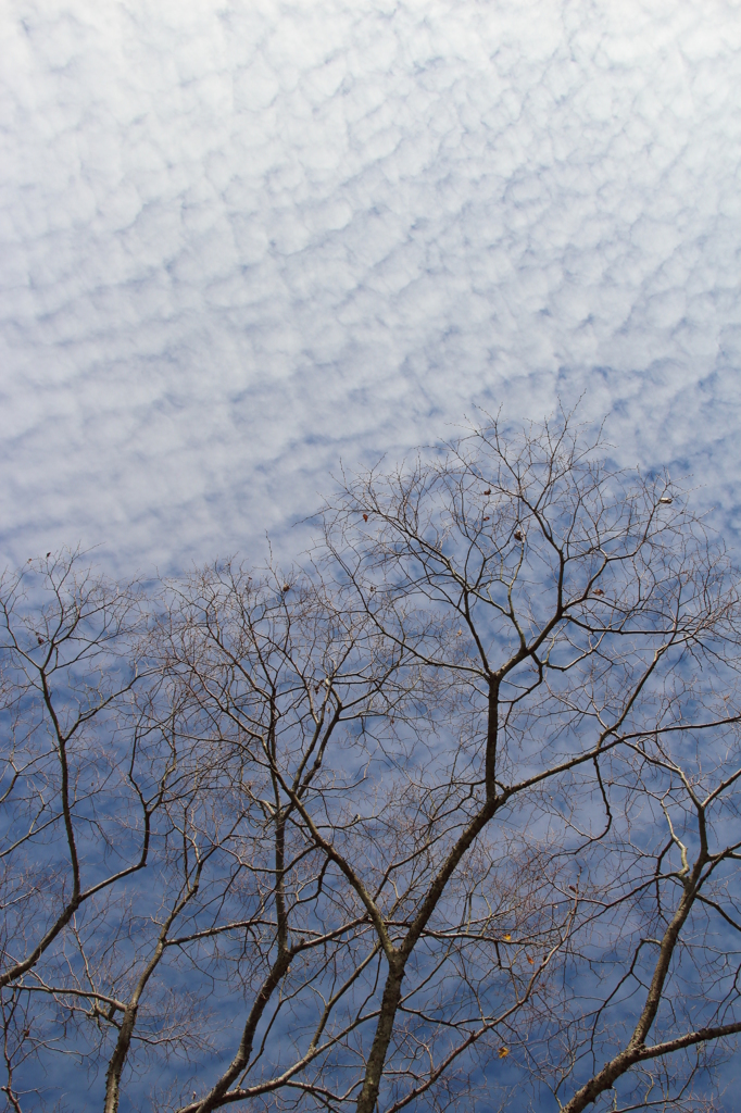 空