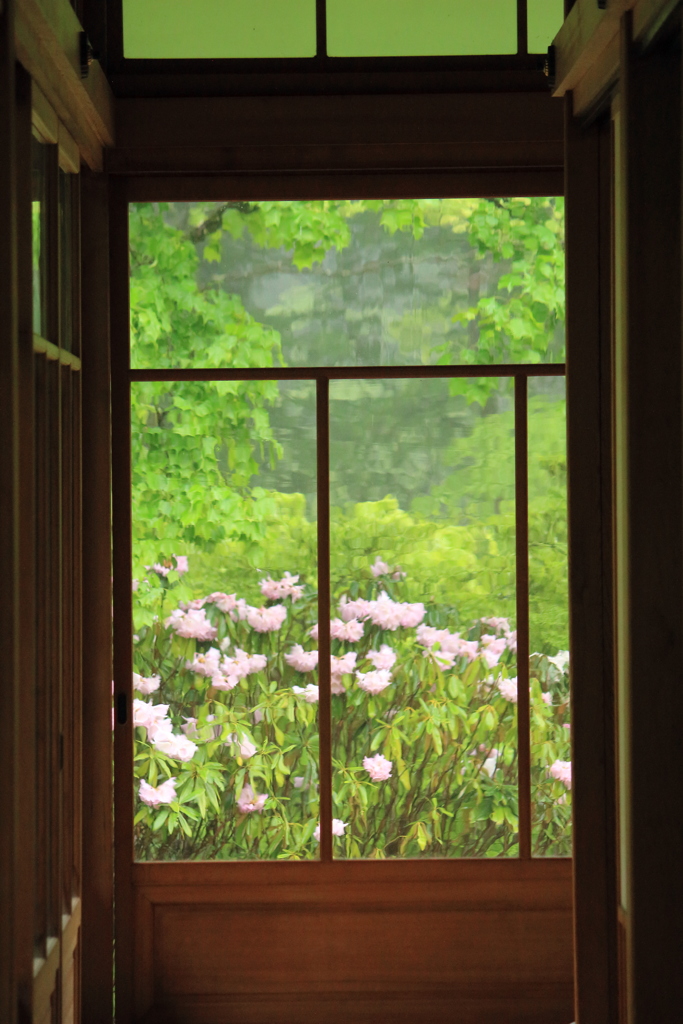 窓の外は雨