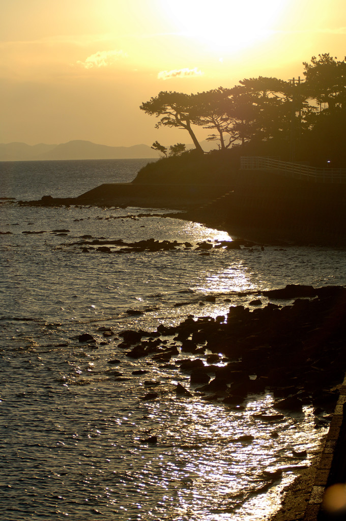 朝焼けの海岸線