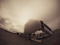 Fly to the cloud