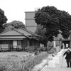 朝の散歩