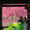 春の記念写真