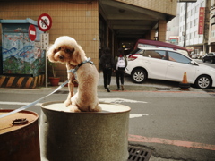 ドラムけん