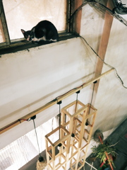ニャンとかしてくれよ～