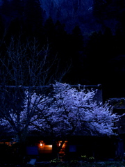 今夜のお宿