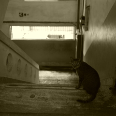 どうぞ、こちらへ