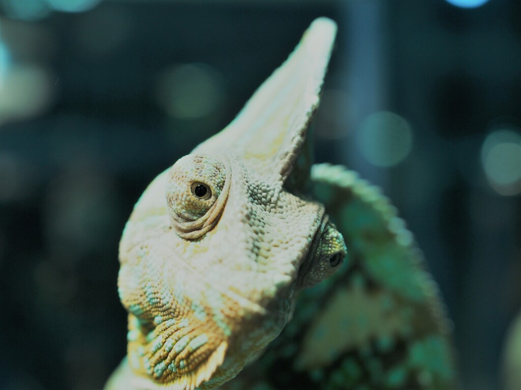 I'll be watching you.