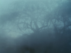 frosted glass