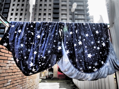 久しぶりに晴れ