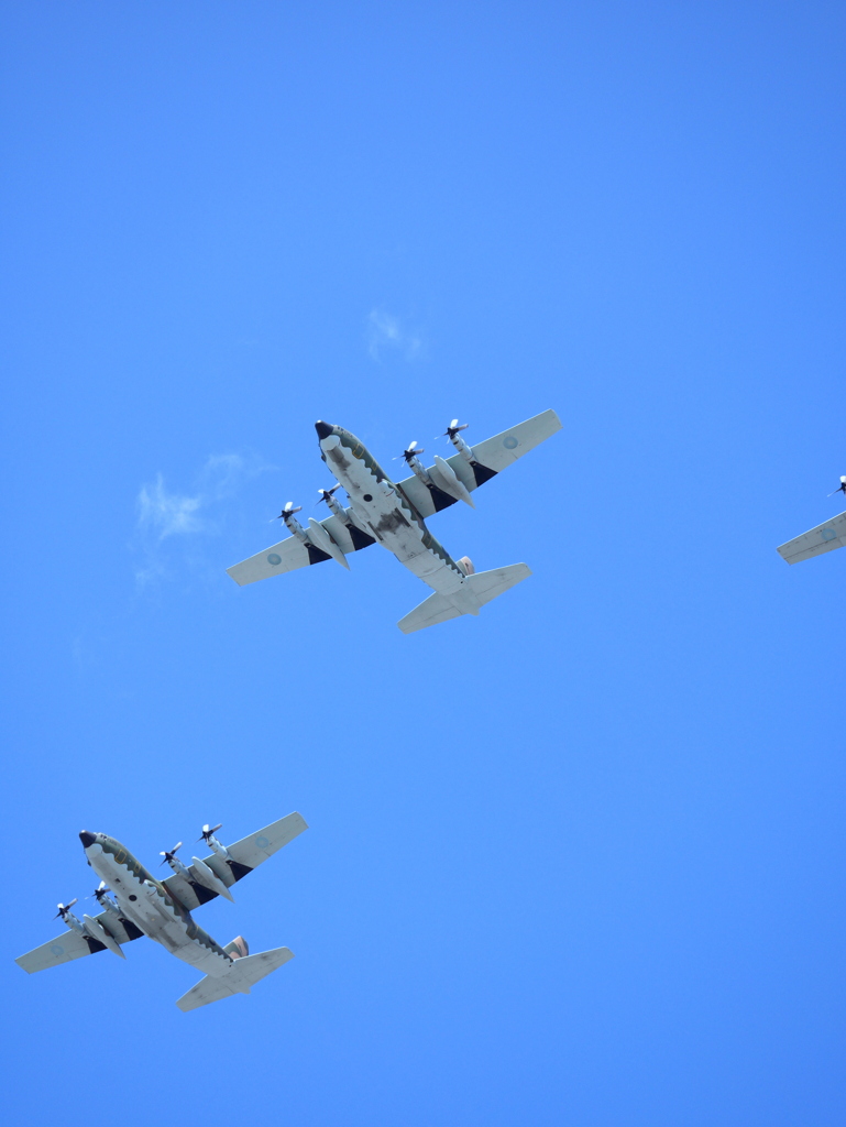 空軍輸送機のおなか