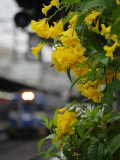 梅雨入りのプラットフォーム