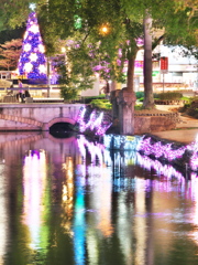お堀の上にクリスマスツリー