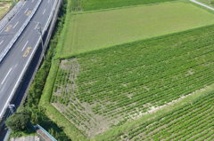 日本独自の風景「田園風景と幹線道路」