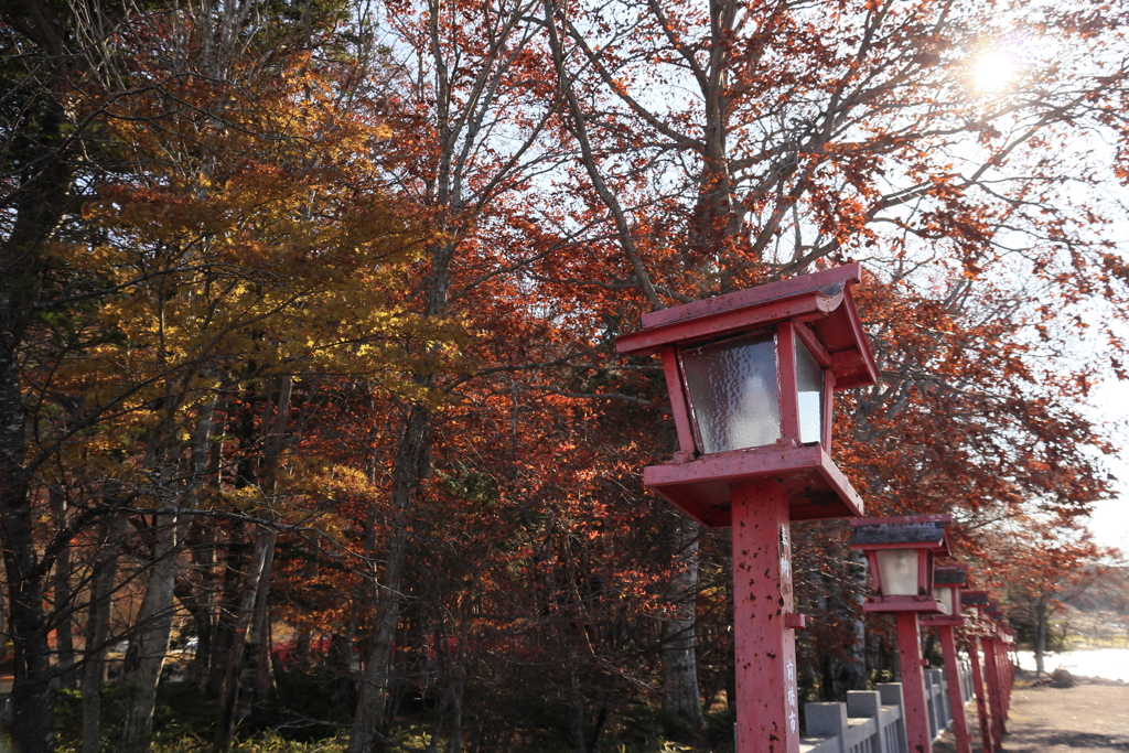 赤城神社にて