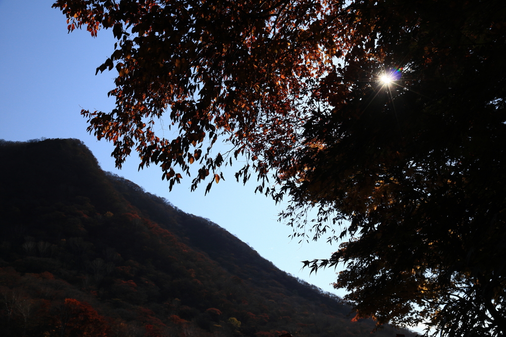 赤城神社からの赤城山の紅葉