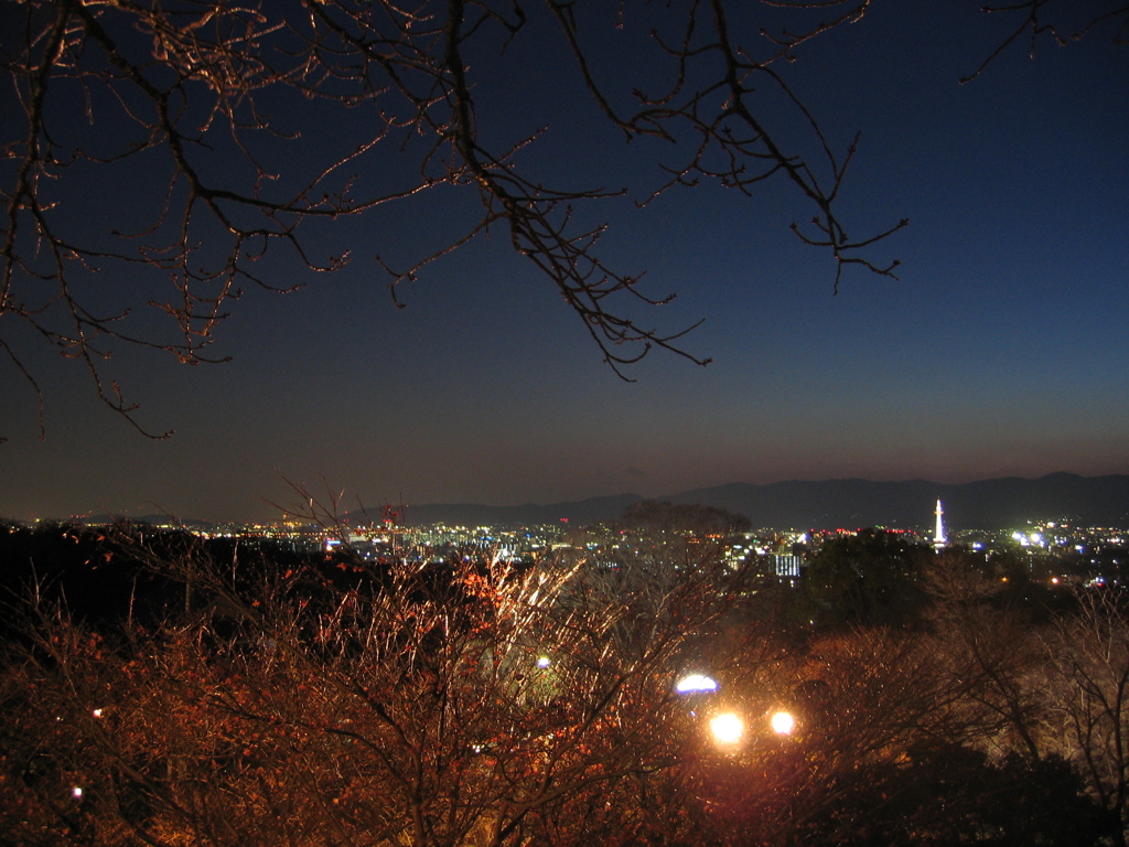京都の夜景。