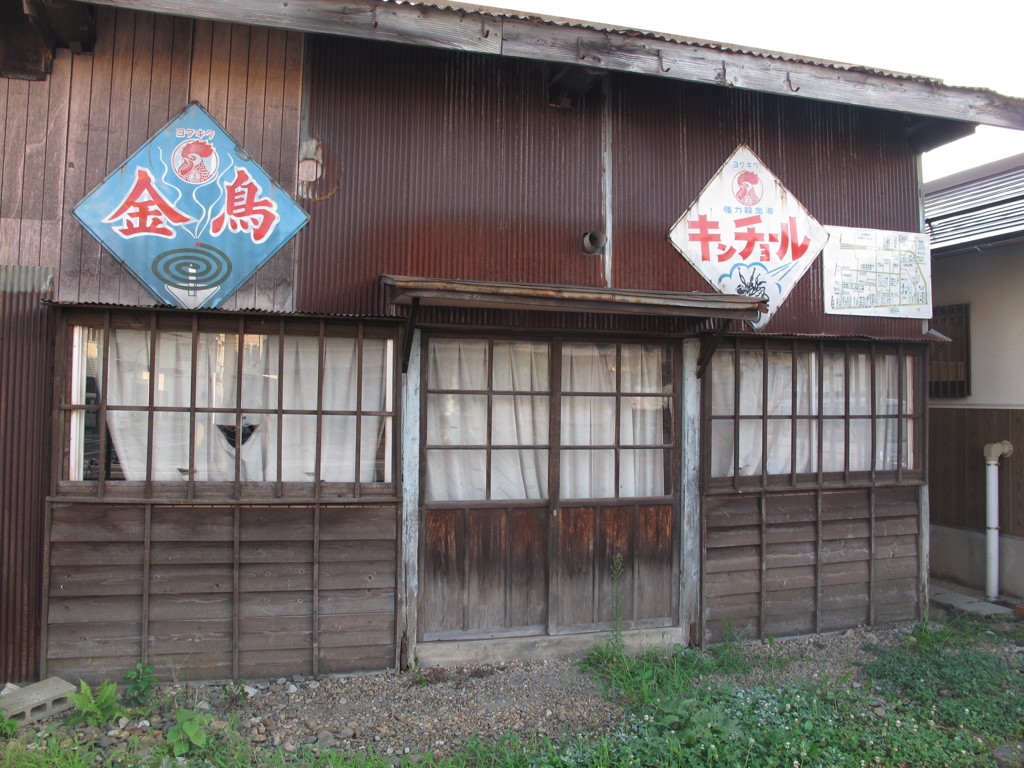 金鳥の夏。。。。。