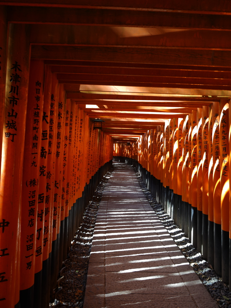 千本鳥居の中の静けさ