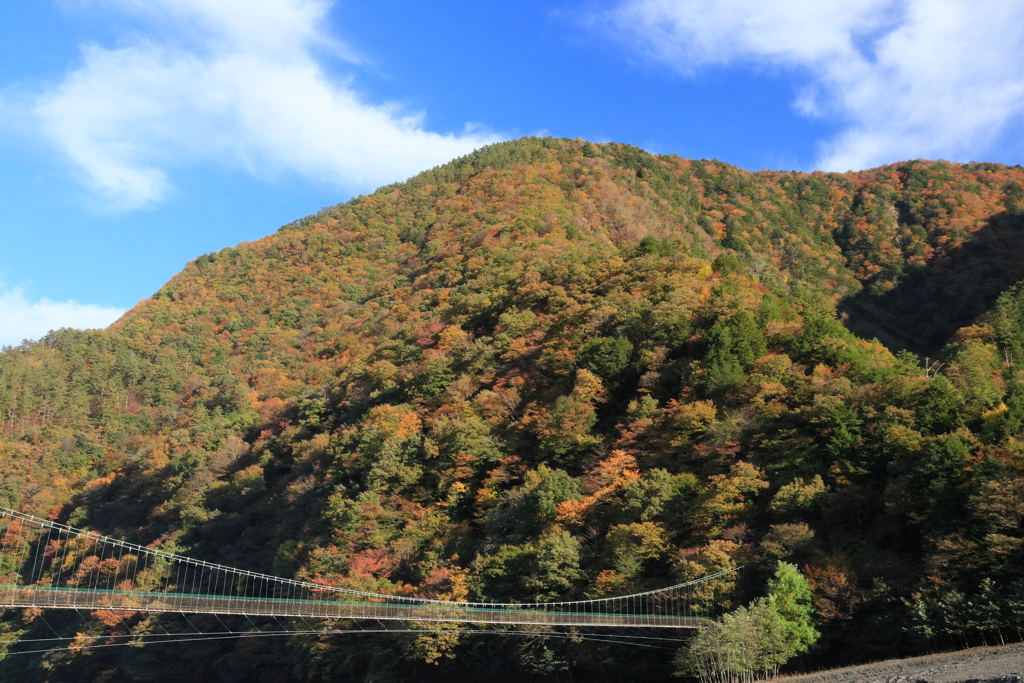雨畑の吊橋