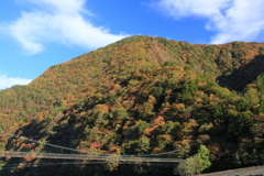 雨畑の吊橋