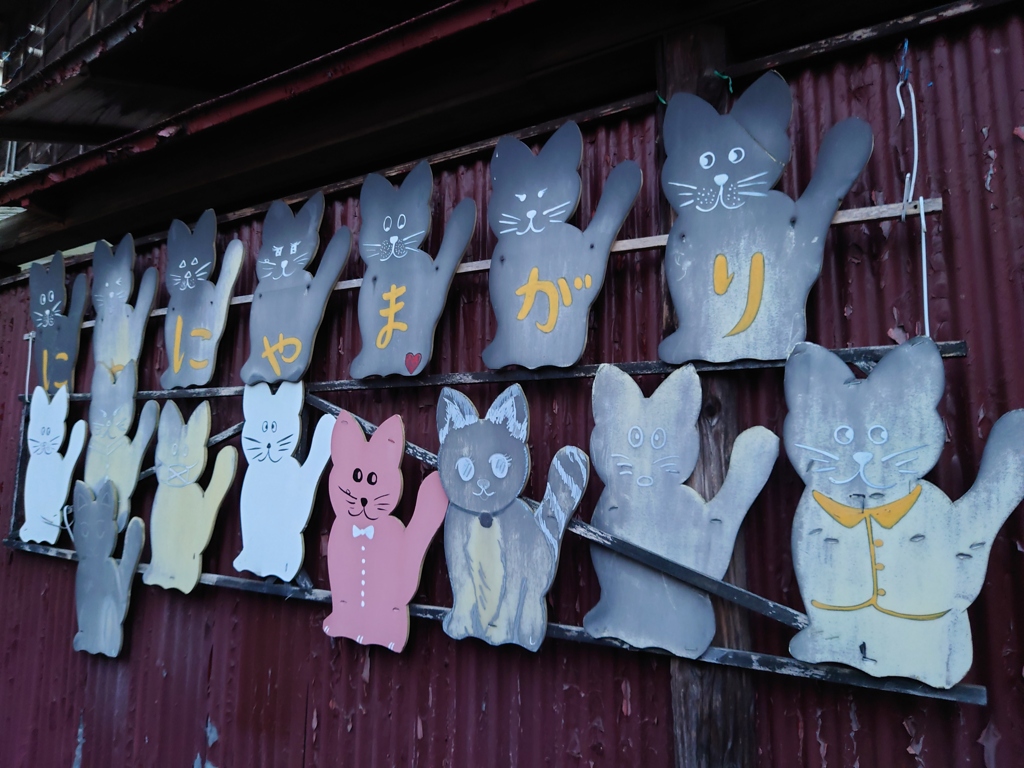 猫群