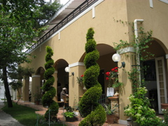 バラクライングリッシュガーデンにて。