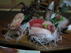 お造り・・・伊勢海老つき。